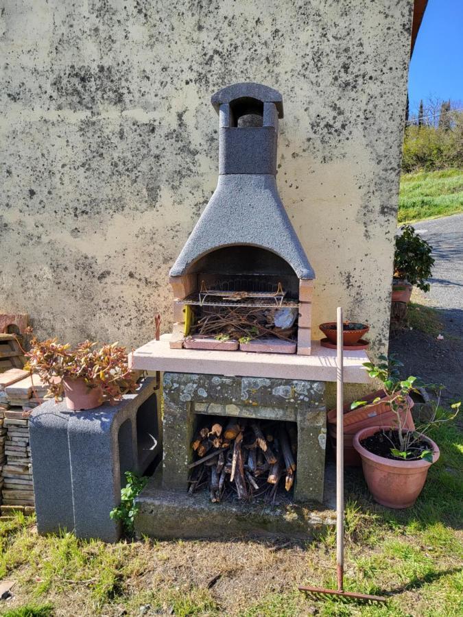 Ferienwohnung I Castagnini Montecatini Val di Cecina Exterior foto