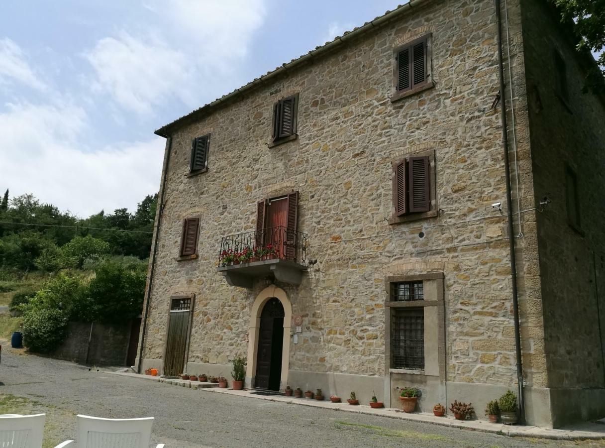 Ferienwohnung I Castagnini Montecatini Val di Cecina Exterior foto