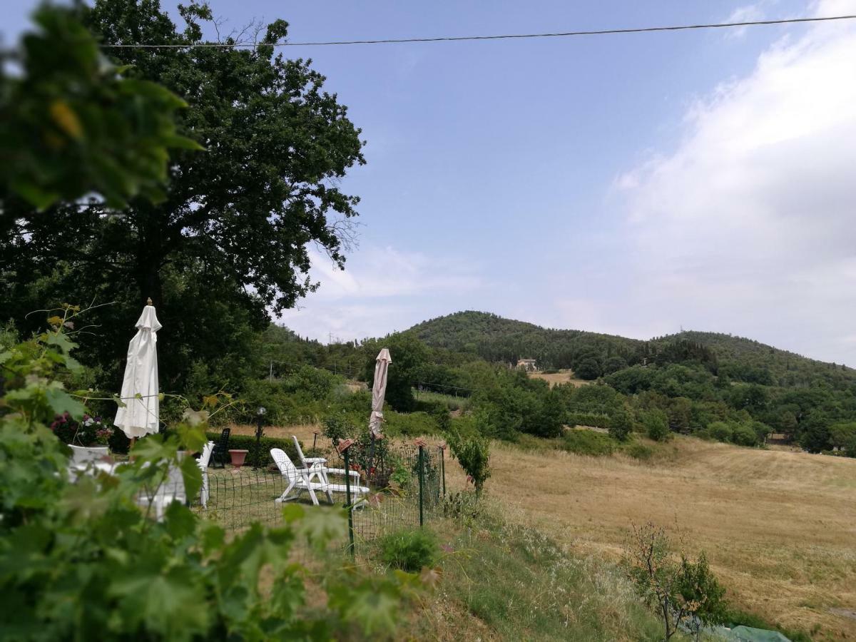 Ferienwohnung I Castagnini Montecatini Val di Cecina Exterior foto