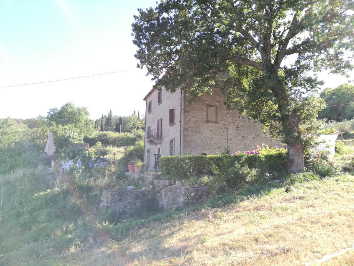 Ferienwohnung I Castagnini Montecatini Val di Cecina Exterior foto