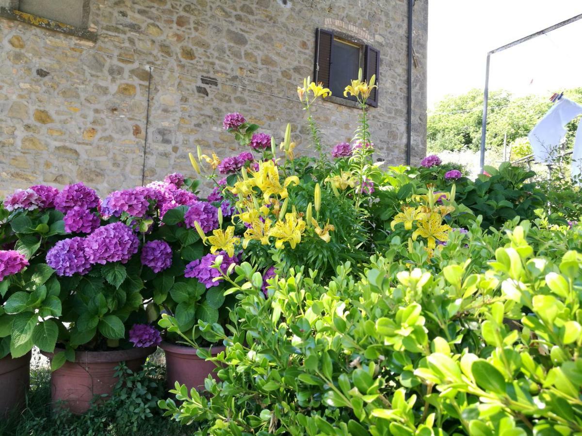 Ferienwohnung I Castagnini Montecatini Val di Cecina Exterior foto