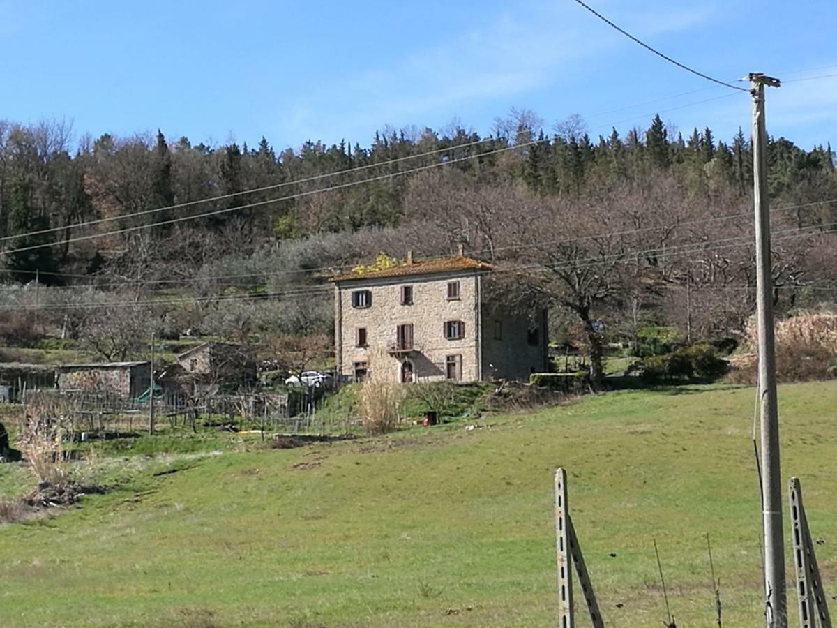 Ferienwohnung I Castagnini Montecatini Val di Cecina Exterior foto